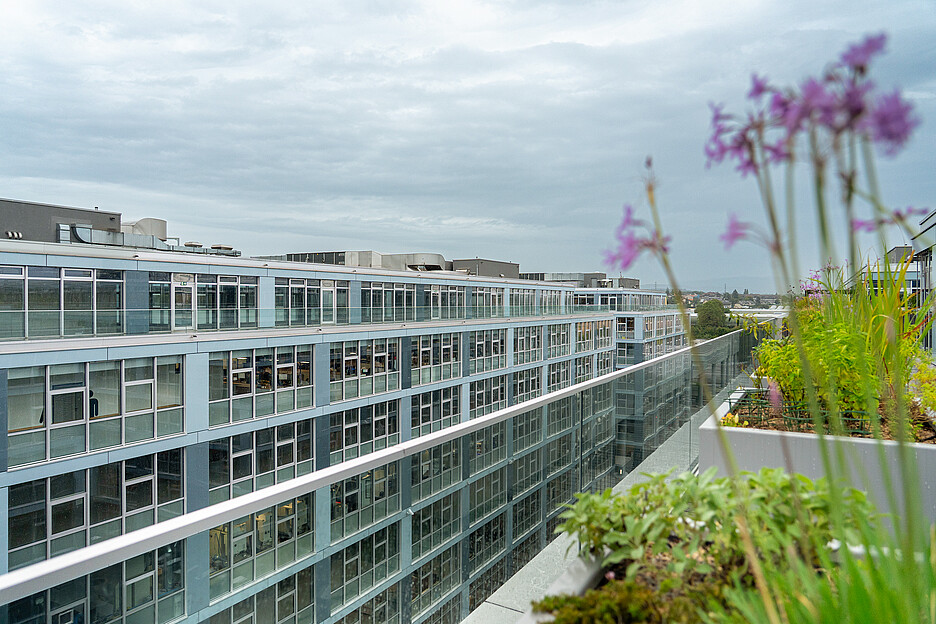 Le centre ForPro, situé dans l’Espace Tourbillon, au cœur de la zone industrielle de Plan-les-Ouates, réunit sur six étages formation, laboratoires, gastronomie et espaces de rencontre sous un même toit.