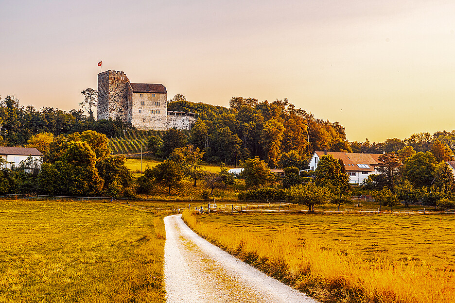 C’est sur la colline du château de Habsbourg, dans le canton d’Argovie, qu’a débuté l’ascension d’une dynastie européenne qui a marqué l’histoire du continent pendant des siècles.